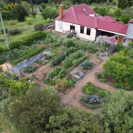 Cherry Top Farmstay - Boutique Eco Village Lilydale Exterior foto